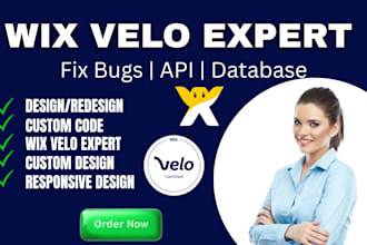 fix wix velo bugs, database errors and custom code issues