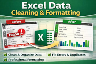 do data cleaning, formatting and excel data processing
