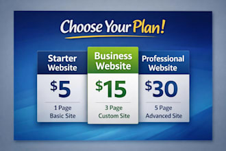 build a professional responsive website