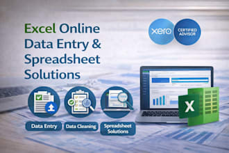 provide excel online data entry and spreadsheet solutions