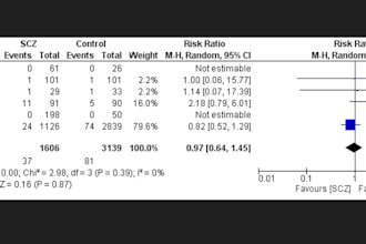 do meta analysis for your research