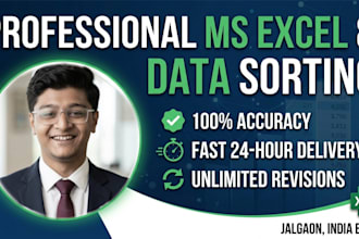 do professional ms excel data entry, sorting, and cleaning