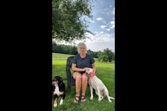 create pet ugc ads selfie, lifestyle or product demo videos