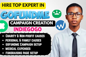 create a professional gofundme fundraising campaign that attracts donors