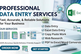 provide professional data entry and copy paste work