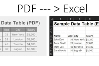 do fast data entry, pdf to excel, copy paste