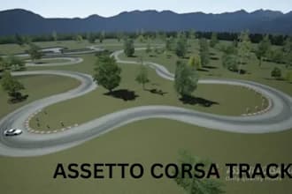 assetto corsa, livery, assetto corsa track, conversion tracking, 3d design