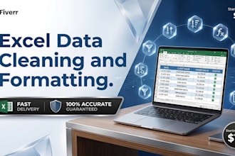 clean organize and fix your excel data with quick delivery