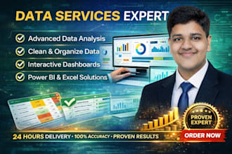 professional data entry and excel work data modeling