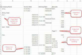 manage, and organize your business data professionally