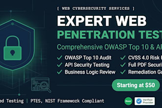 perform professional penetration testing and deliver a detailed security report