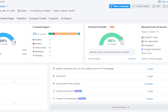 audit your website to get more traffic and leads