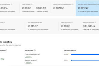 be your expert ebay and etsy virtual assistant for store management