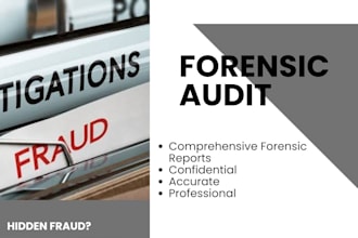 uncover financial fraud and deliver actionable investigation reports