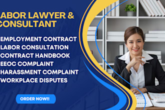 be your lawyer for harassment, wrongful termination and contracts