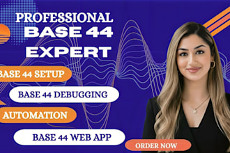 base44 app, base44 bug fix, base44expert, base44 to wordpress base44 integration