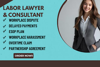 provide legal advice on employment and labor matters