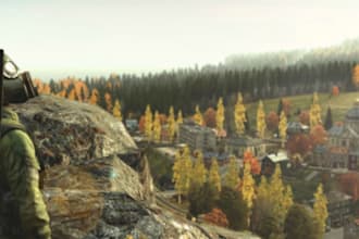 help you setup your fivem server for dayz