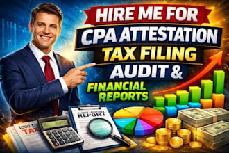 provide professional cpa attestation, tax filling, audit and financial reports
