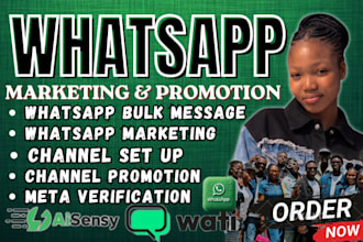send outreach cold bulk message whatsapp mass dm promotion channel set up