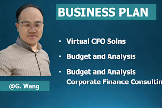 be your virtual cfo and build budget, analysis and business growth strategy