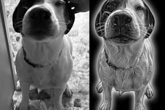 create a memorial pet portrait for engraving