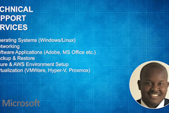 provide technical support services