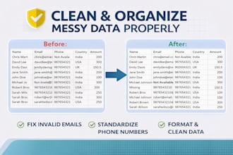 clean, format and fix messy excel or CSV data professionally