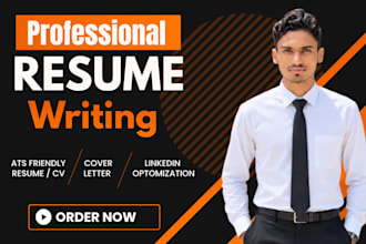 deliver 24 hours professional resume maker and tech CV writing service