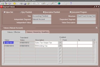 do oracle erp finance support for ebs