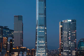 offer on site business support and translation in china
