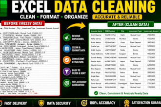 clean, format, merge excel data