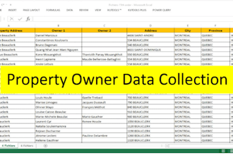 do data entry, web research, copy paste, excel data entry and typing