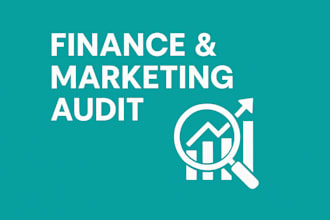provide corporate grade financial and marketing audits