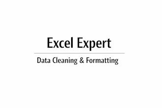 do excel data cleaning, formatting and reports