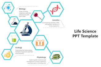design professional powerpoint presentations and slides