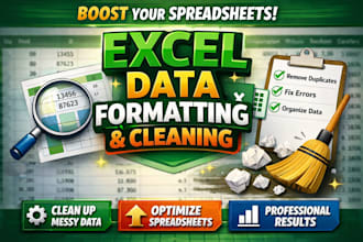 do professional data cleaning, excel formatting, and data organization