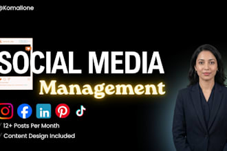 manage your social media accounts professionally
