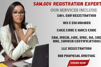 do llc,  sam gov registration, renewal and uei setup for government contract