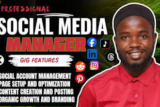 be your social media marketing manager and content creator facebook instagram ad