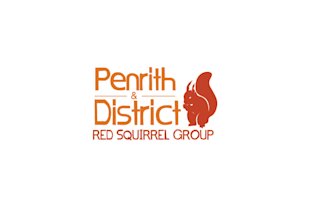 design red squirrel conservation group logo