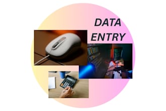 do professional data entry and creative logo design