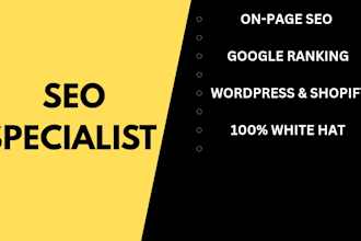 rank your shopify store with on page SEO