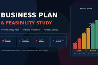 write a professional business plan and feasibility study