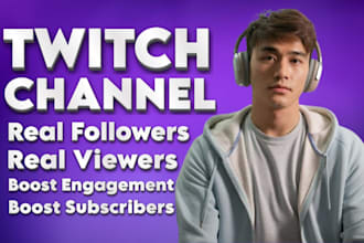 help increase your twitch channel growth with channel auditing and optimization