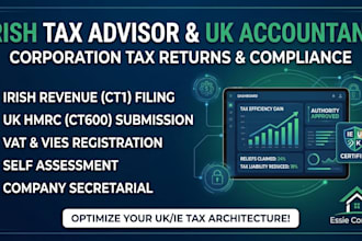 professional irish and uk tax advisor file returns vat and claim refunds