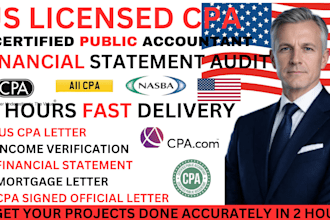 audit financial statements, profit and loss balance sheet, cash flow statement