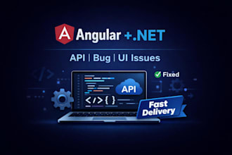 angular and dotnet API bugs and issues