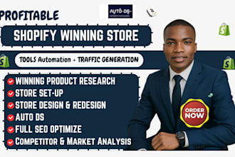 use auto ds for shopify website dropship store design and redesign SEO marketing