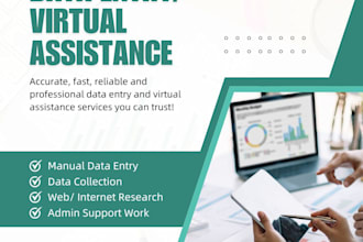 provide virtual assistance, data entry and admin work